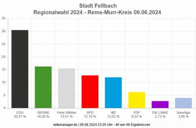 Stimmenanteil bei der Regionalwahl 2024