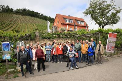 Abschluss in geselliger Runde: Nach dem Mittagessen in Sternenfels versammelt sich die CDU-Seniorenunion zum Gruppenfoto vor den Weinbergen am Heiligenberg.