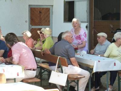 Unterm Baum ist\'s schattiger. 