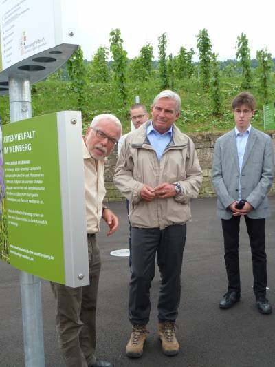 Stadtrat Herbert Aldinger, Ehrenvorstand der Fellbacher Weingrtner, erklrt Thomas Strobl und den Gsten das Tourismuskonzept des neuen Weinwegs.