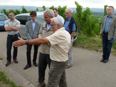 Auf dem Kappelberg begutachten die Spaziergnger die Reben.
