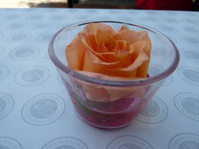 Sommer, Sonne und gute Laune