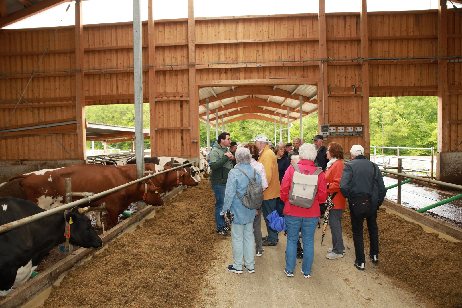 Besuch im modernen Kuhstall: Mitglieder der CDU-Seniorenunion lassen sich von Landwirt Gutjahr die Haltung und Digitalisierung des Bio-Betriebs erklren.
